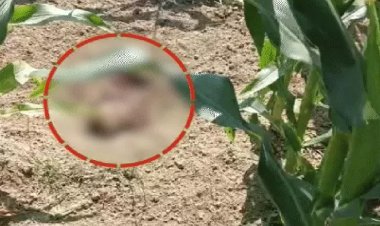 घर से बुलाकर युवक की कर दी हत्या, फिर शव को खेत में एसिड डालकर दफना दिया