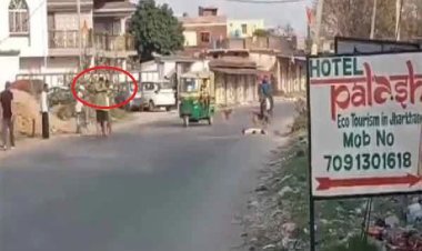 राइफल लेकर घूम रहे शख्स ने कुत्ते को मारी गोली