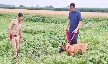 भूंजा बेचने वाले का सिर काटकर ले गये अपराधी