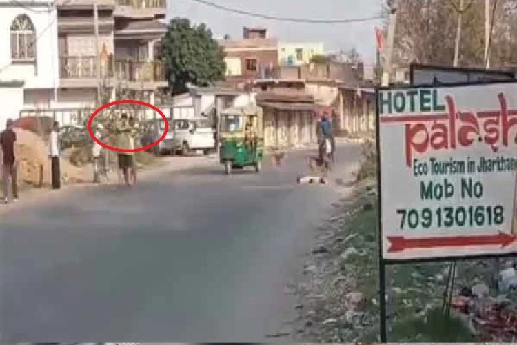 राइफल लेकर घूम रहे शख्स ने कुत्ते को मारी गोली