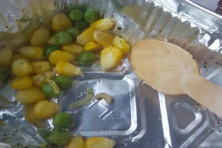 पटना-हावड़ा वंदे भारत में यात्री के नाश्ते में मिला कीड़ा