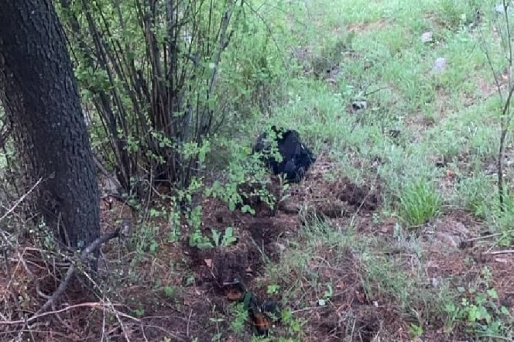 बारामूला में घुसपैठ की कोशिश कर रहे दो आतंकी ढेर