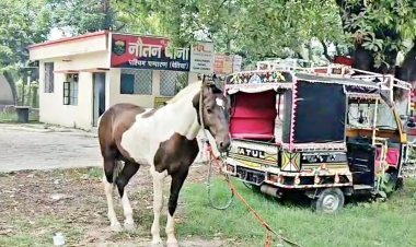 बिहार: पुलिस ने घोड़े को किया गिरफ्तार, वजह जानकर आप भी रह जाएंगे हैरान