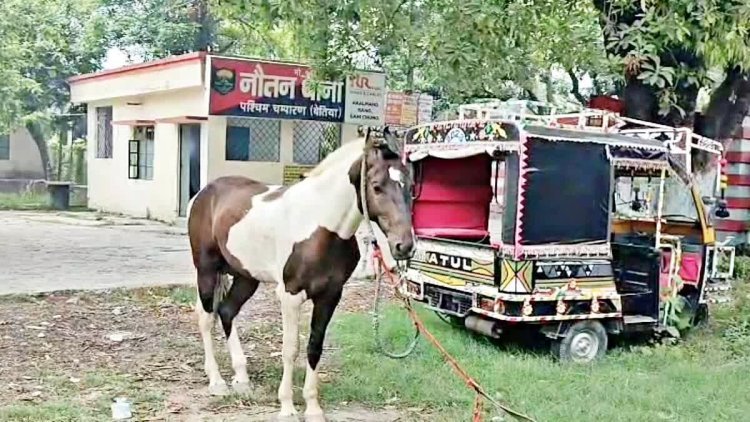 बिहार: पुलिस ने घोड़े को किया गिरफ्तार, वजह जानकर आप भी रह जाएंगे हैरान