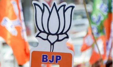 बैकवर्ड-फॉरवर्ड को लेकर भी फंस रहा है झारखंड प्रदेश भाजपा अध्यक्ष का चुनाव