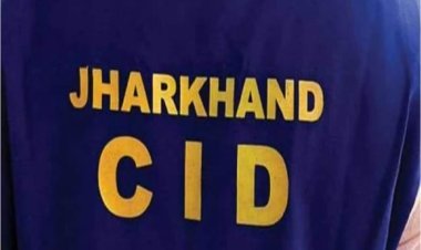 फर्जी दस्तावेज तैयार कर वन भूमि पर अवैध तरीके से कब्जा किया और उसे बेच दिया।