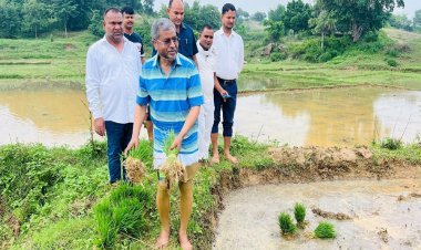 धान की रोपाई करते दिखे बाबूलाल मरांडी, सोशल मीडिया पर तस्वीर साझा कर लिखी दिल की बात