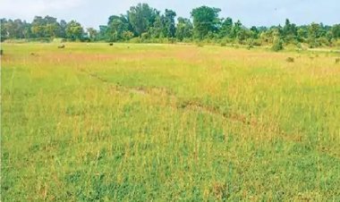 जमशेदपुर में बनेगा अंतरराष्ट्रीय क्रिकेट स्टेडियम, 49.50 एकड़ जमीन चिन्हित