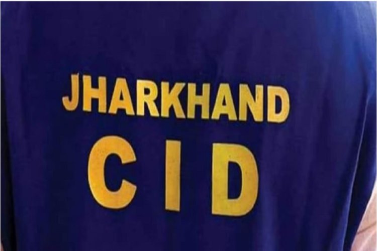 फर्जी दस्तावेज तैयार कर वन भूमि पर अवैध तरीके से कब्जा किया और उसे बेच दिया।