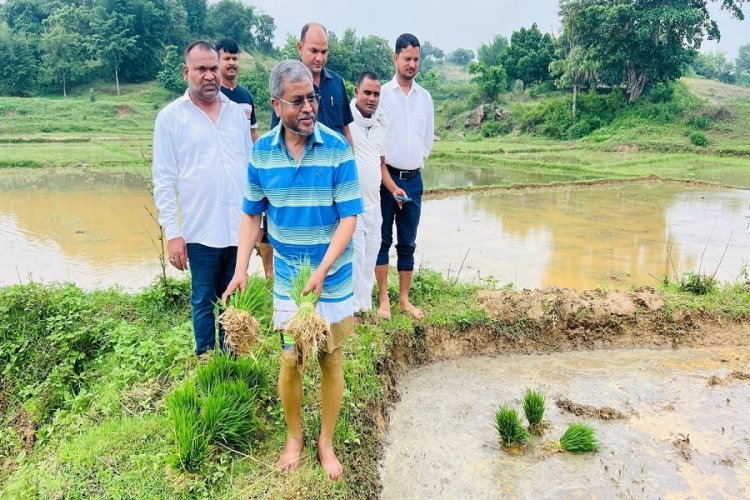 धान की रोपाई करते दिखे बाबूलाल मरांडी, सोशल मीडिया पर तस्वीर साझा कर लिखी दिल की बात