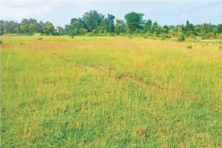 जमशेदपुर में बनेगा अंतरराष्ट्रीय क्रिकेट स्टेडियम, 49.50 एकड़ जमीन चिन्हित