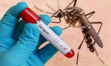 स्वच्छता में राष्ट्रपति से सम्मानित जमशेदपुर में डेंगू से 2 महिलाओं की मौत, अब तक 21 मरीजों की पहचान