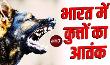 भारत में हर साल रेबीज से जाती है 20 हजार लोगों की जा'न, अकेले 2024 में दर्ज हुआ 37 लाख से अधिक कुत्तों के का'टने का मामला