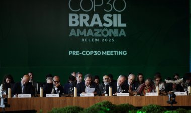 From the Amazon to the World: What Brazil's Climate Summit  Means for Our Future
