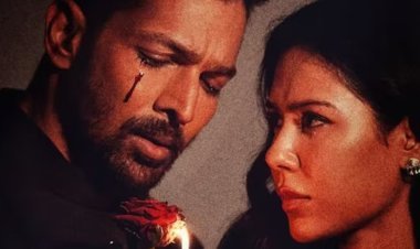 Ek Deewane Ki Deewaniyat Shatters Records: Harshvardhan Rane and Sonam Bajwa’s Romantic Drama Enters ₹100 Crore Club, Surpasses ‘Param Sundari’ Lifetime Collection