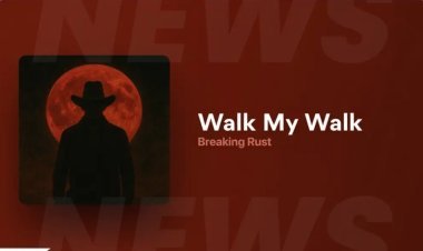 Chart-Breaker or Code-Maker? Inside the AI Mystery of ‘Walk My Walk’
