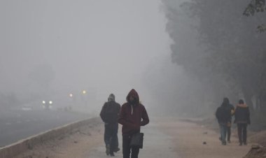 The Coldest Winter in Decades – India Braces for a La Niña Chill