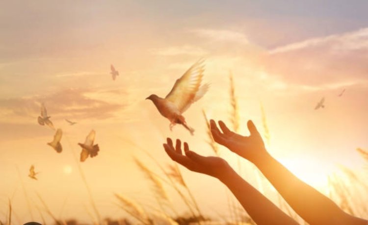 5 Simple Ways to Take Care of Your Soul in a Busy World